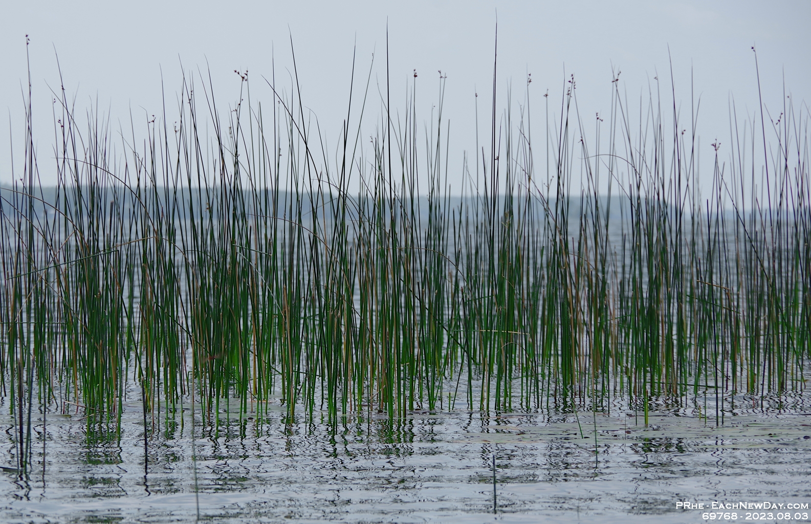 69768CrLe - Vacationing at Hammock Harbour - Kayaking the top end of Lake Couchiching and the channels in Washago
